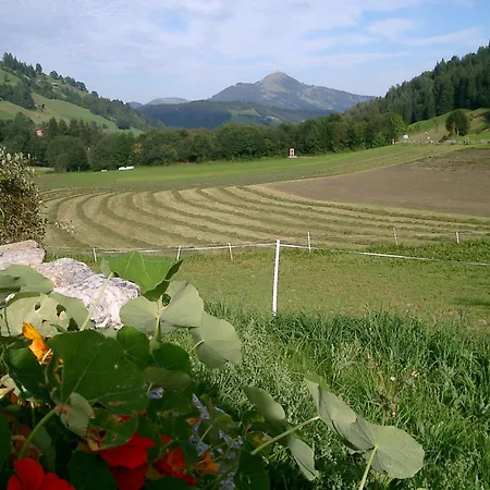 Guest house Steinerhof