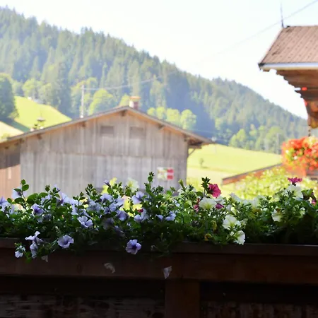 Guest house Steinerhof